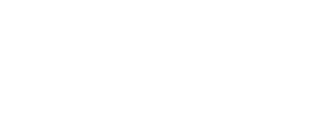 Project Overlander PV5